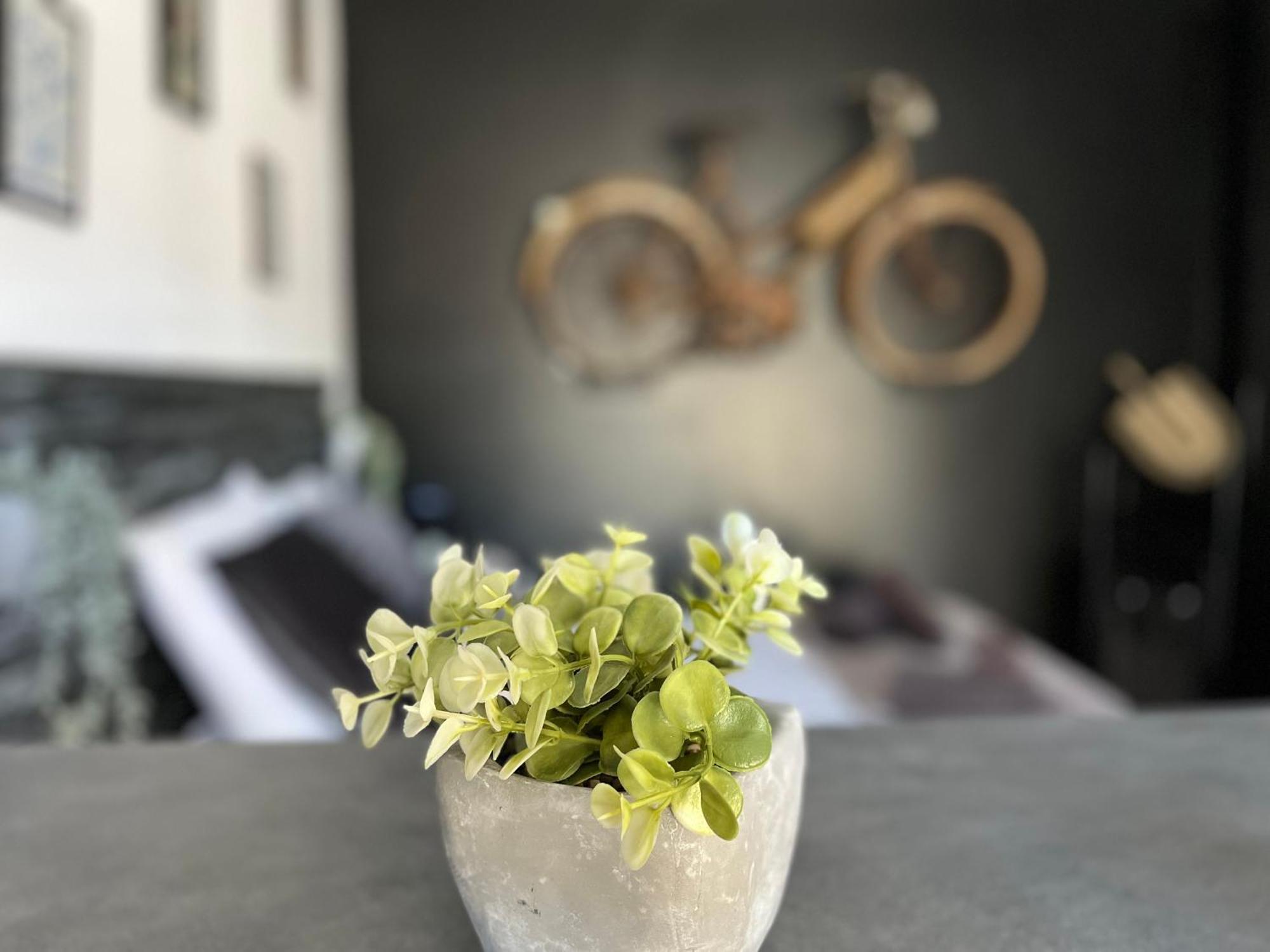 "Le Maloya" Chalets Independants -Chambre Balneo - Relais Motards Лакон Екстер'єр фото